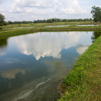 A fish farm, pictured, can have plenty of depreciation - it may be hidden beneath the surface, but it is there!